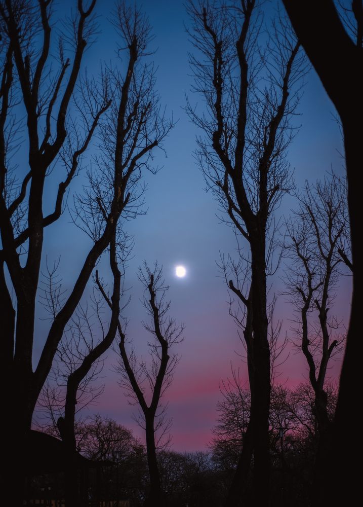 Photograph by Helena Proshkina