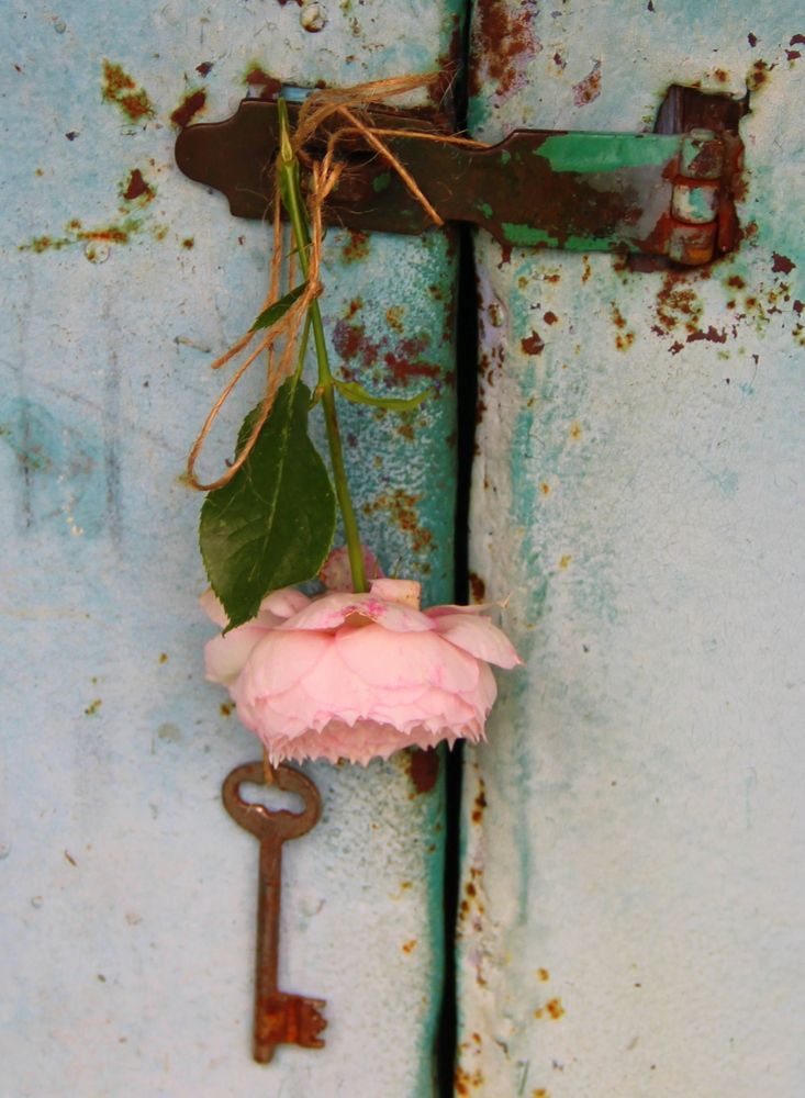 Photograph by Жанна Нечаева