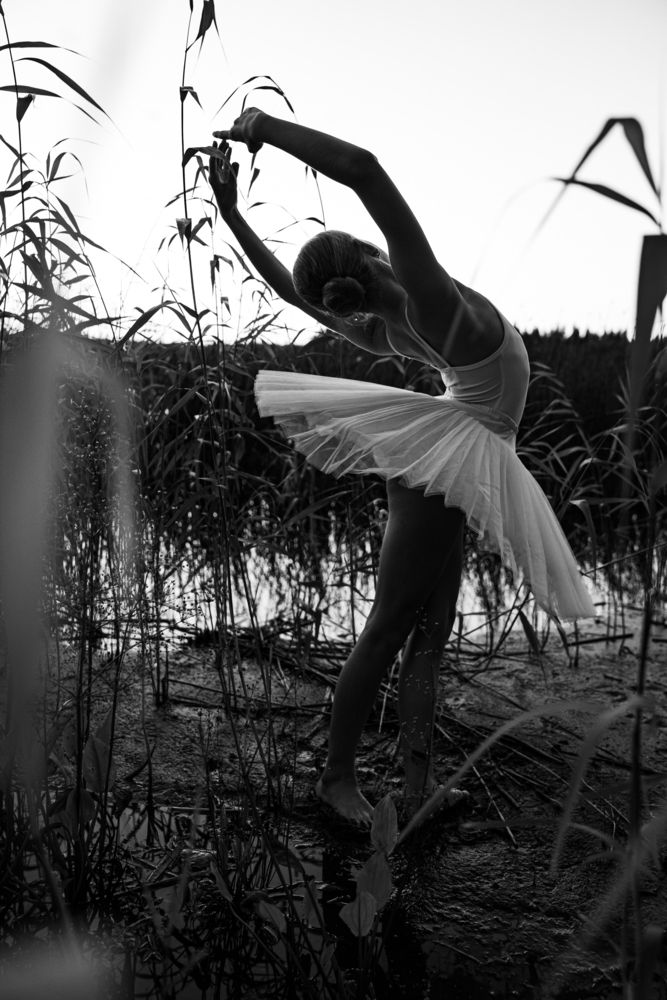 Photograph by Пережогина Светлана