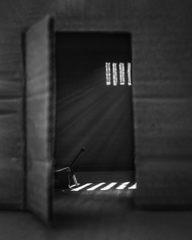 Photograph by Юлия Яремко