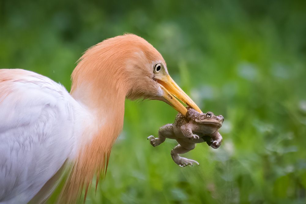 Фотография автора Anuj Jain