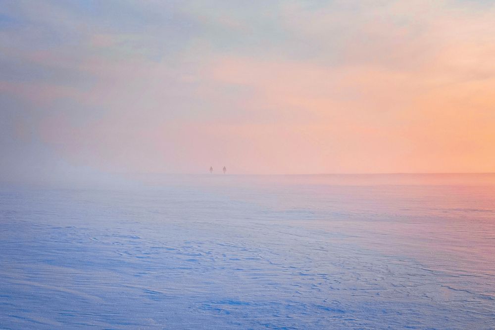 Photograph by Дьяченко Алёна