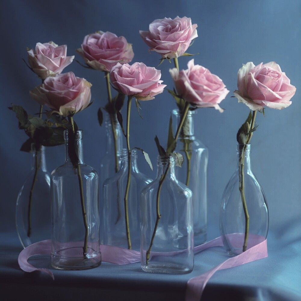 Photograph by Татьяна Максакова