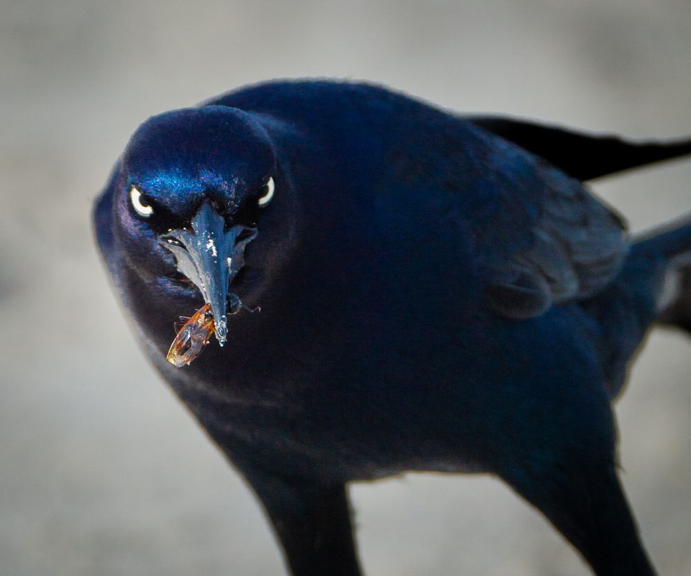 Photograph by Ethan Williams