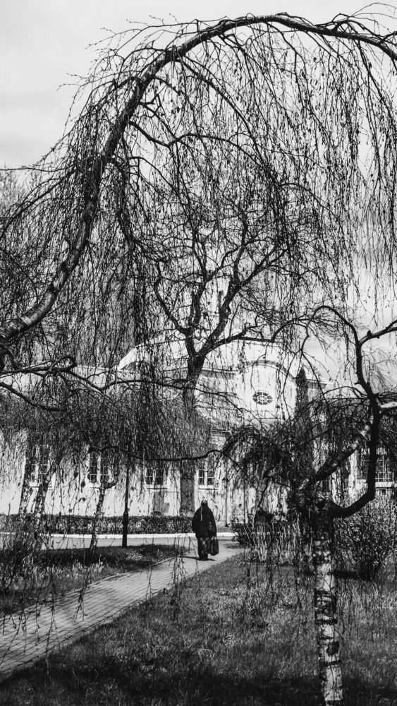 Photograph by Мария Емец