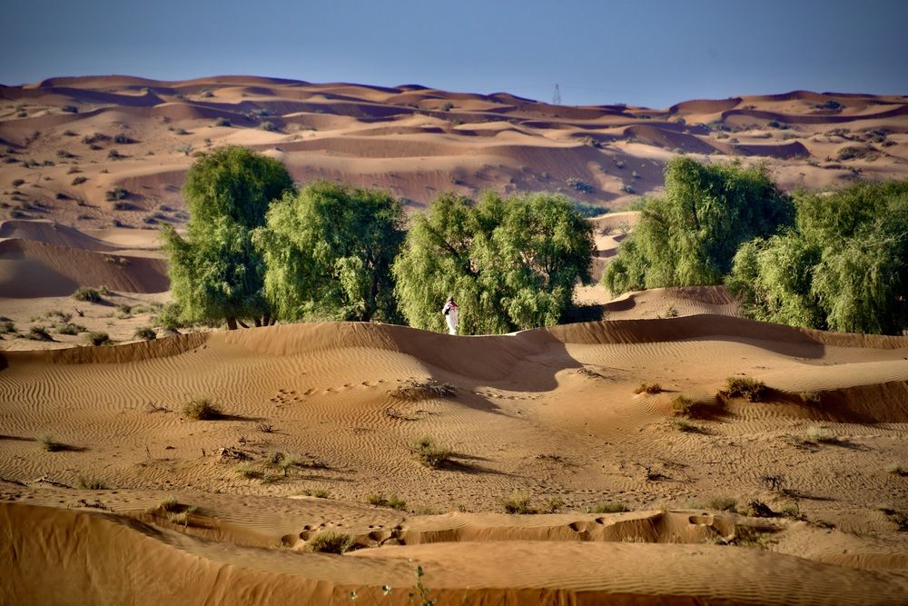 Одинокий путник