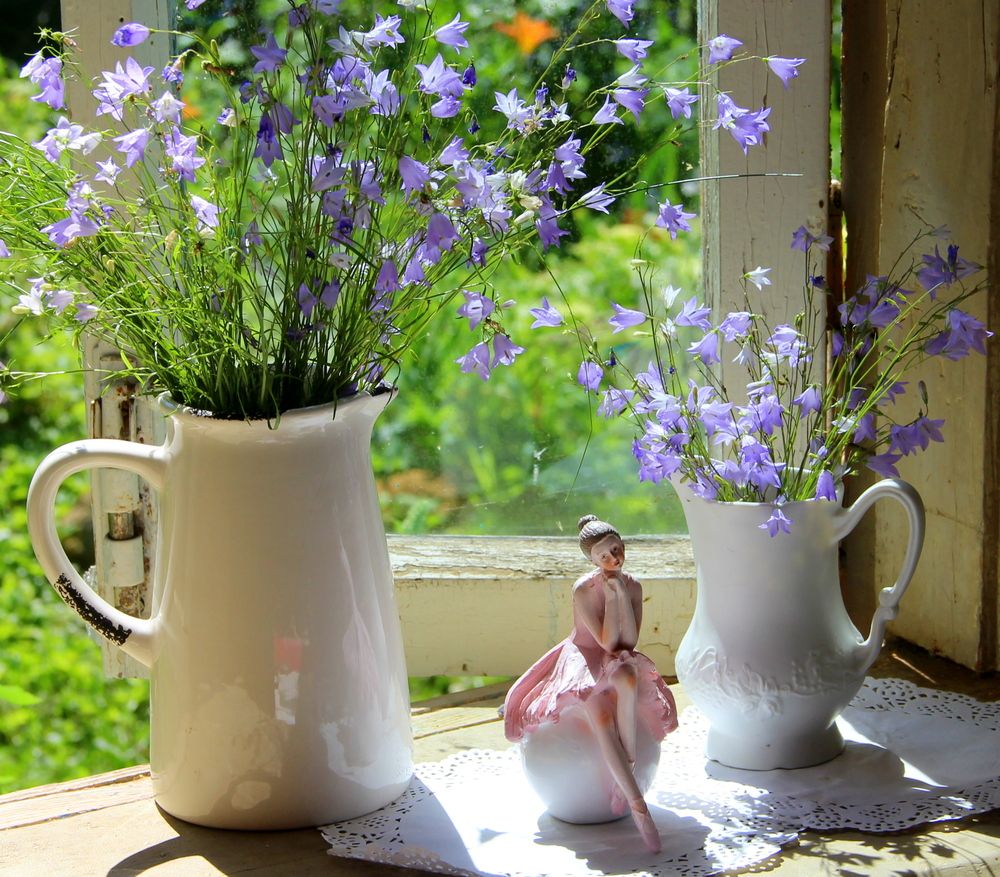 Photograph by Жанна Нечаева