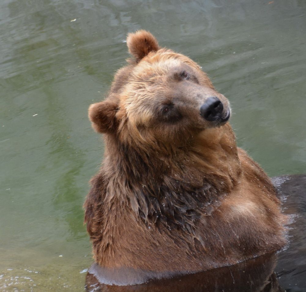 Photograph by Анастасия Смирнова