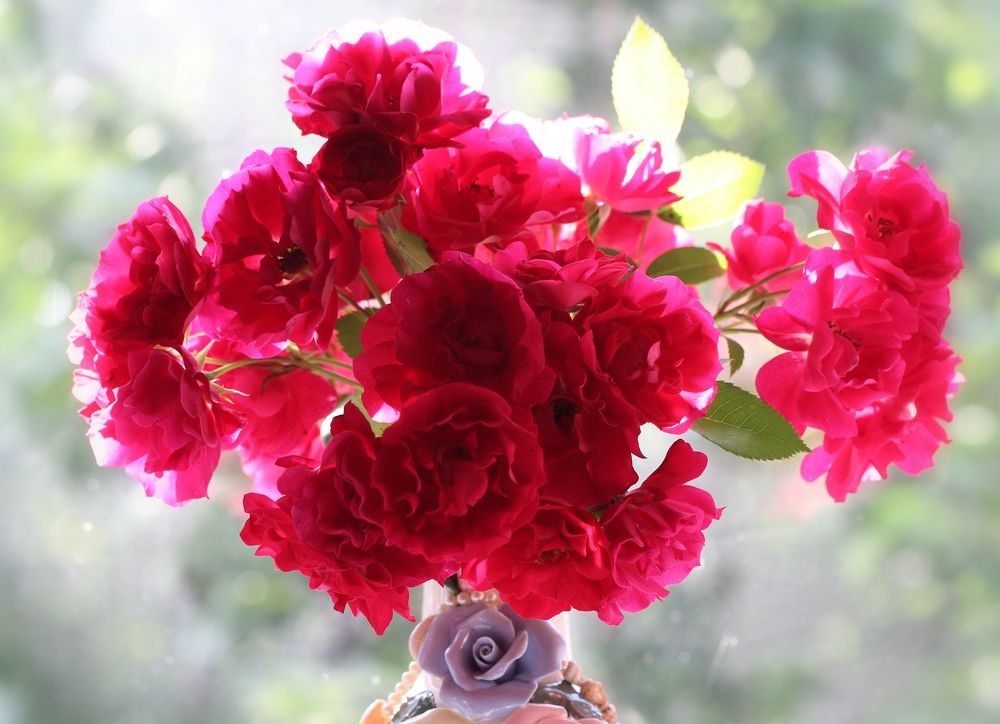 Photograph by Любовь Саханова