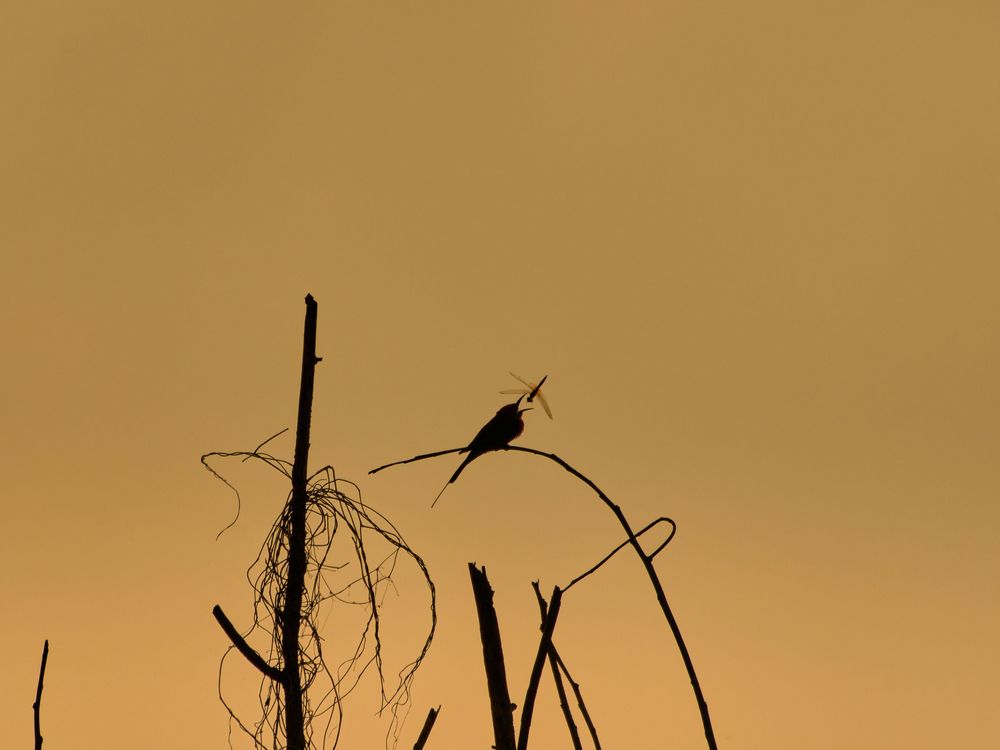 Photograph by Vuong Lee Don
