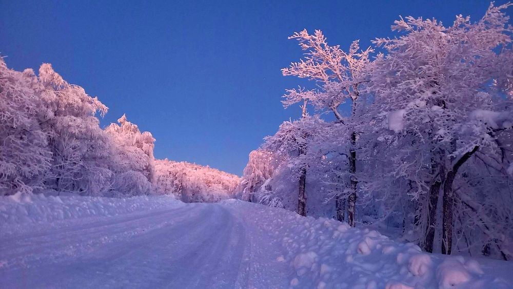 Photograph by Назмутдинова Сауия