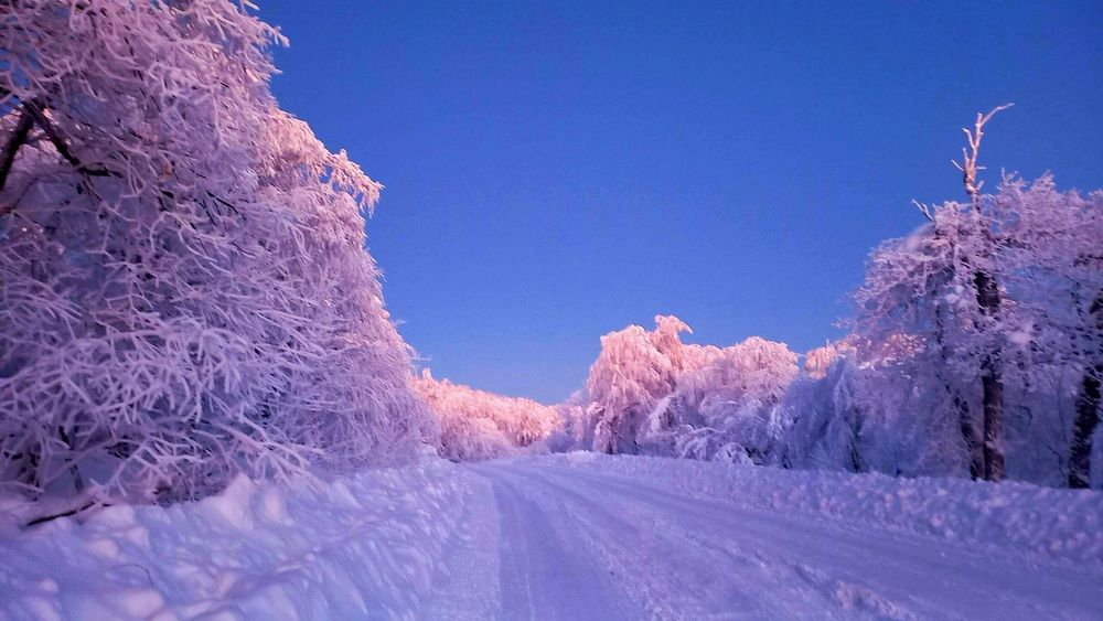 Photograph by Назмутдинова Сауия