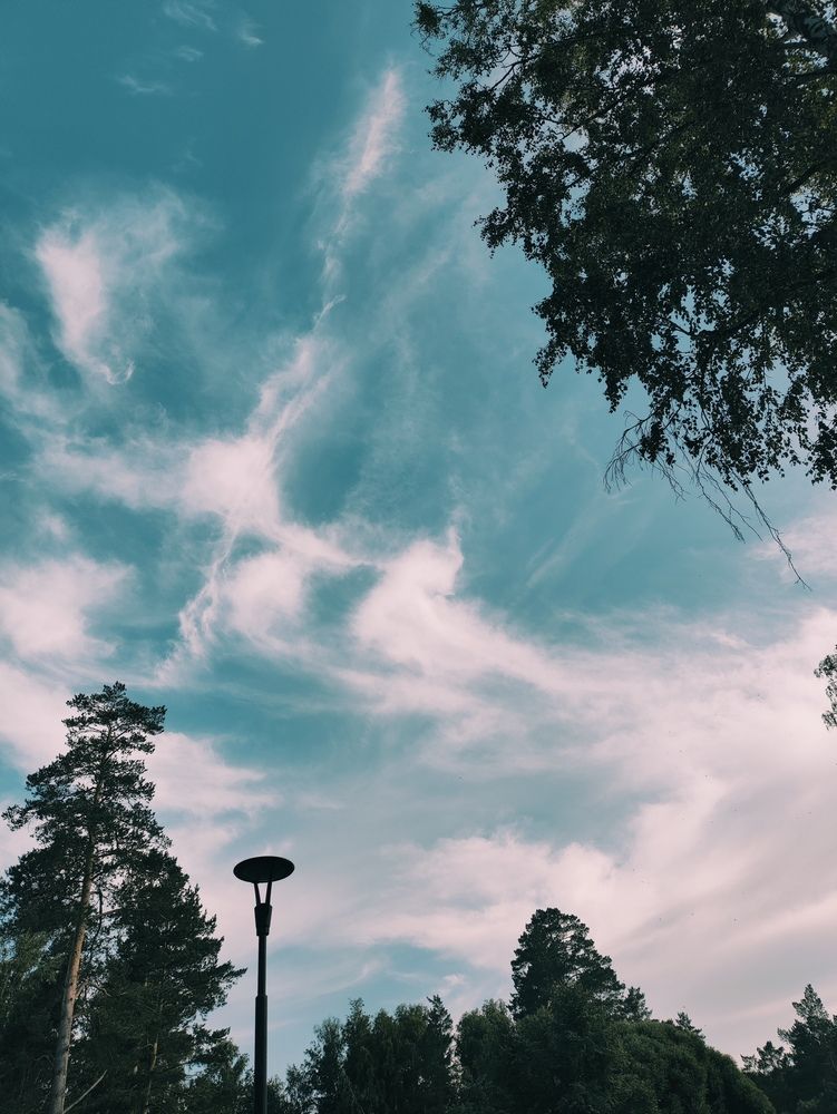 Photograph by Татьяна Пьянзина