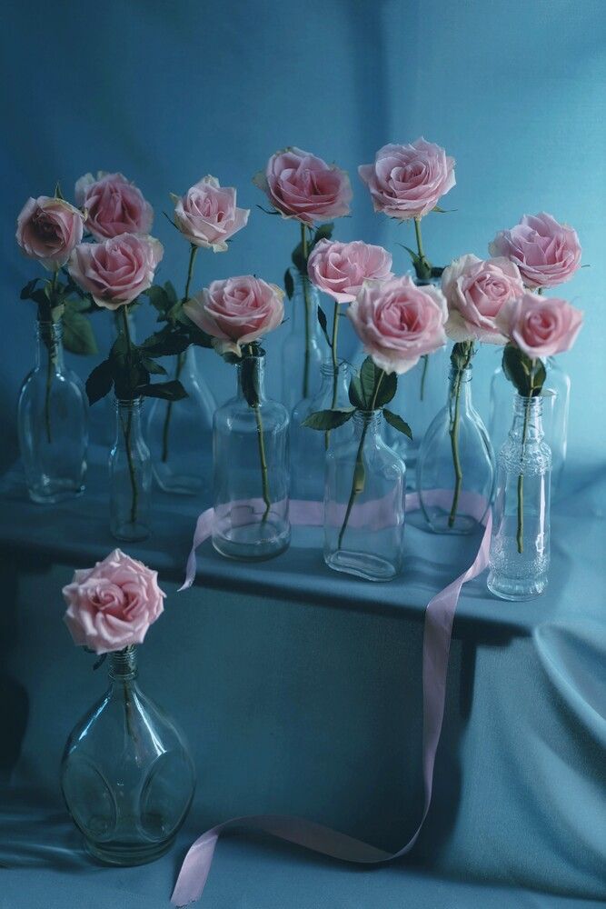 Photograph by Татьяна Максакова