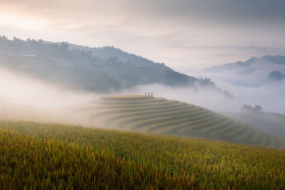 Photograph by Le Dinh Manh