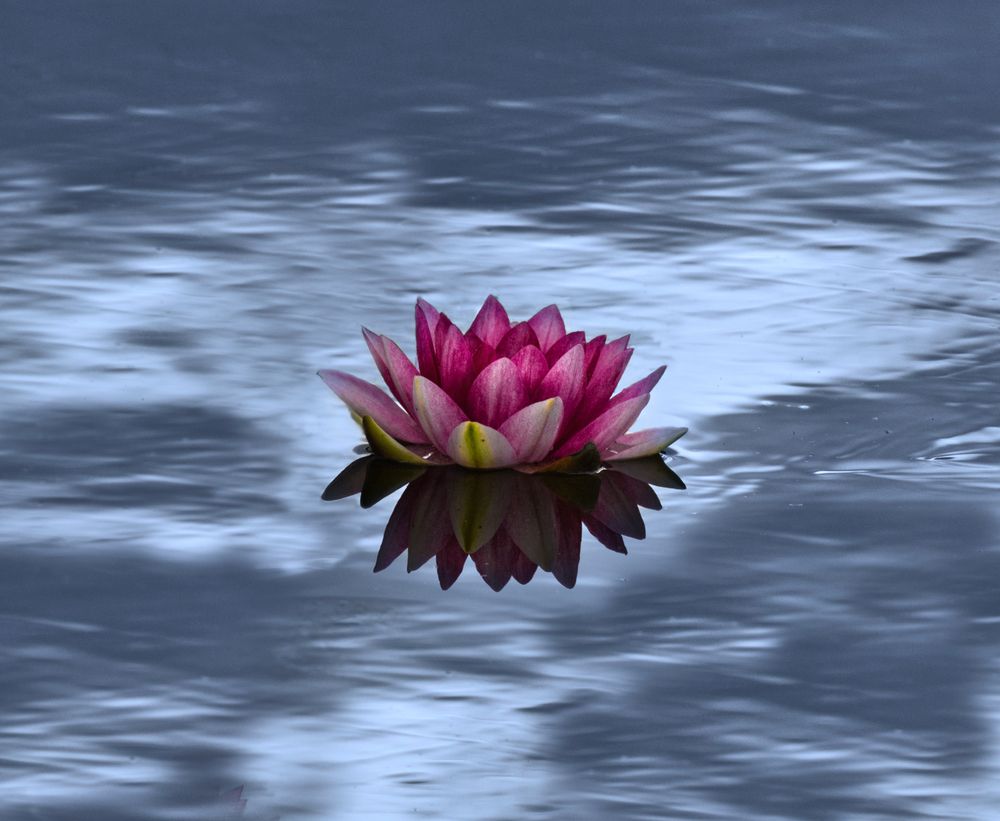 Photograph by Светлана Алексеева