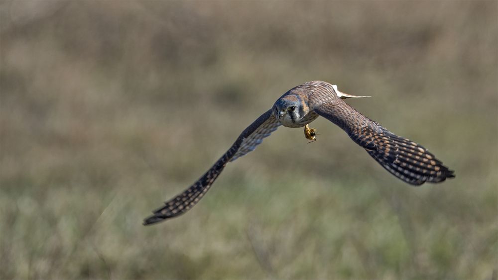 Photograph by Гришанов Пётр