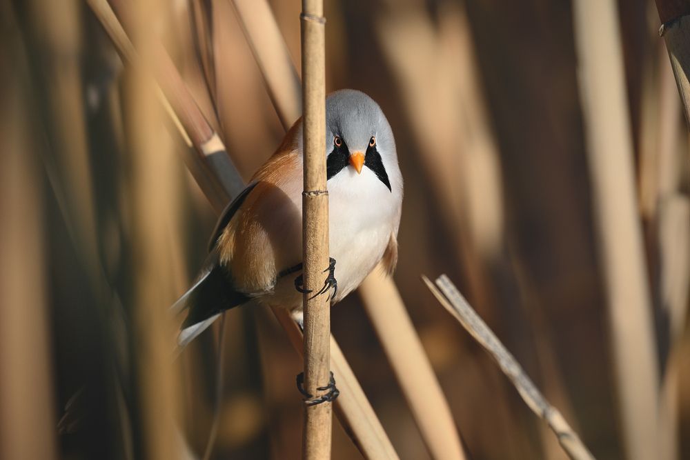 Photograph by Анатолий Садовский