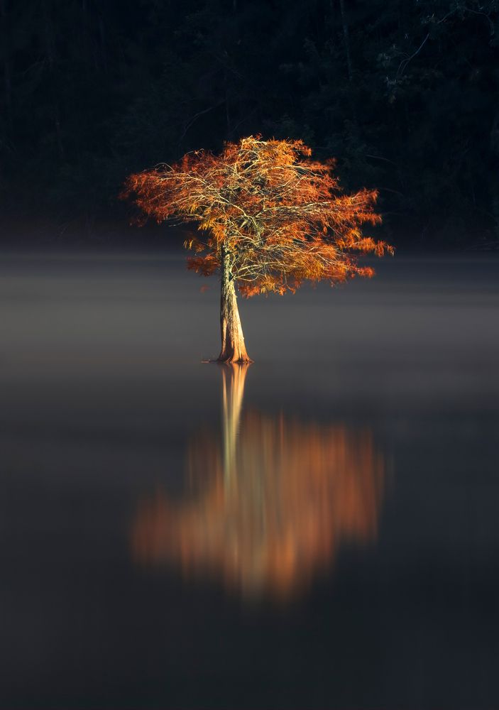 Photograph by Valdir Hobus