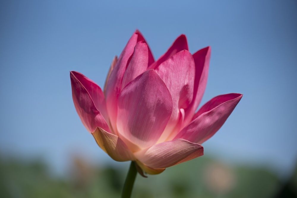 Photograph by Gurdina Lena