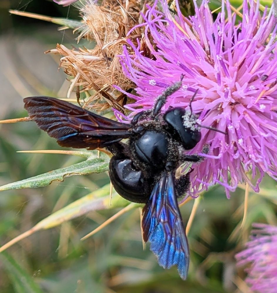 Photograph by Gurdina Lena