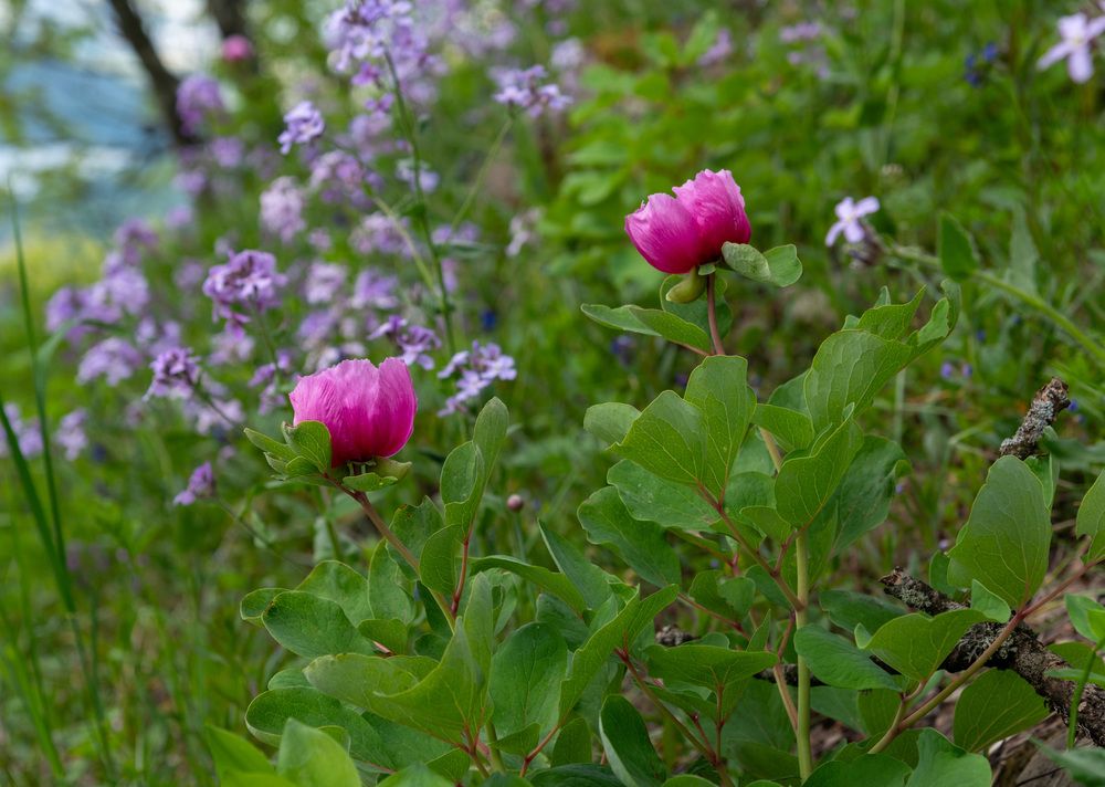 Photograph by Екатерина Крючкова