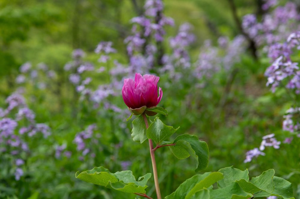 Photograph by Екатерина Крючкова