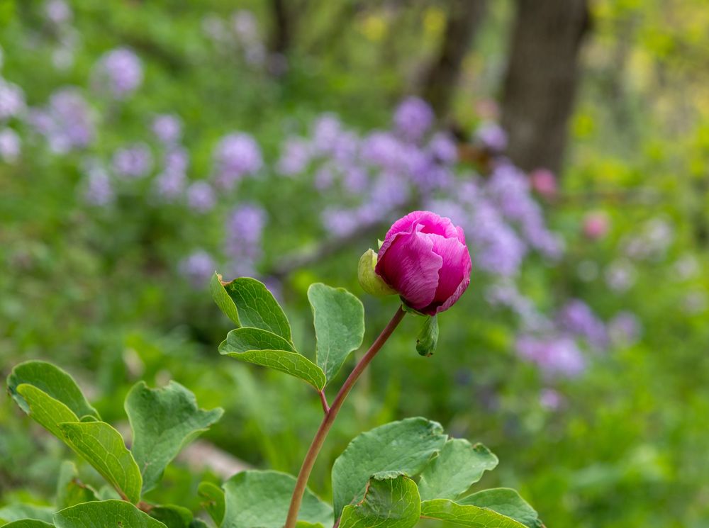 Photograph by Екатерина Крючкова