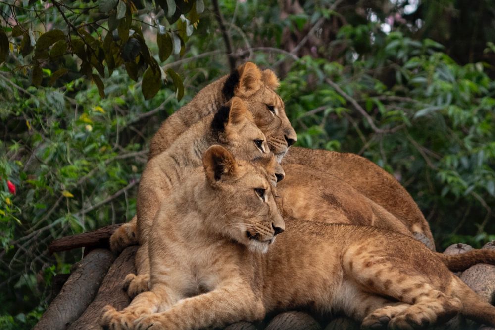 Photograph by Mariana Carvalho