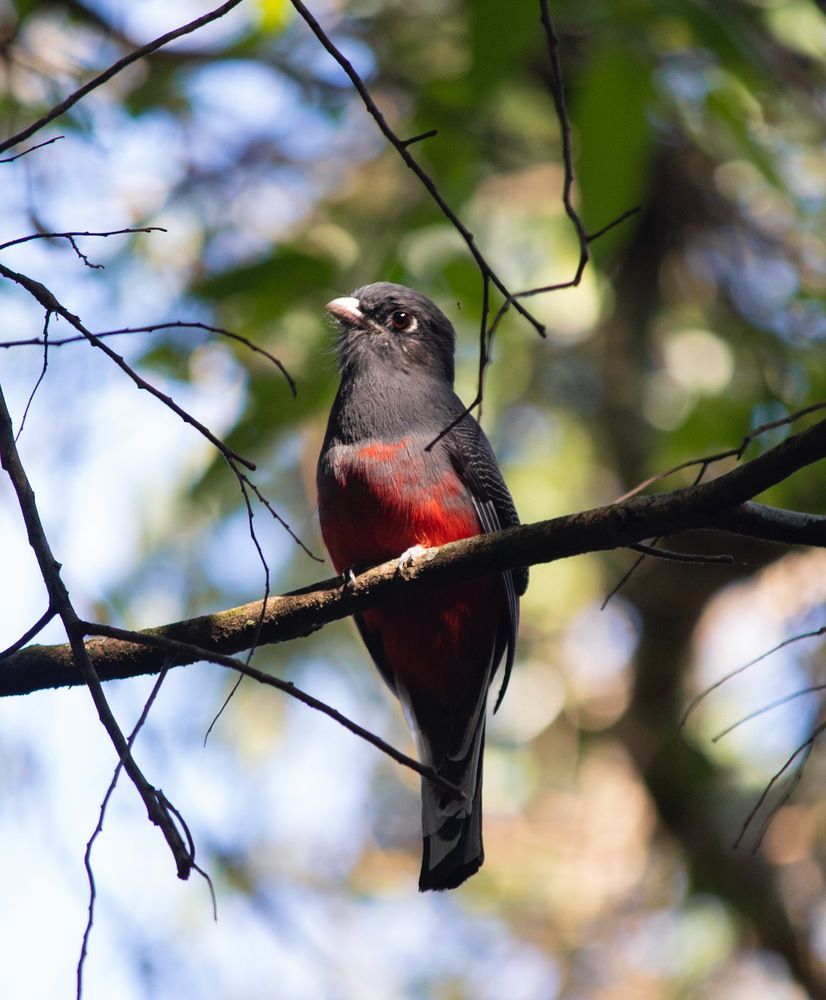 Photograph by Mariana Carvalho