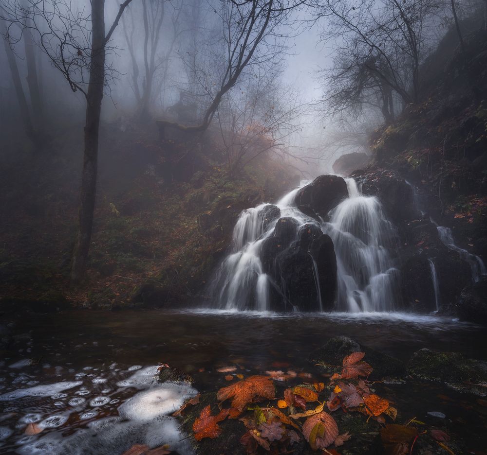 Photograph by Александър Александров