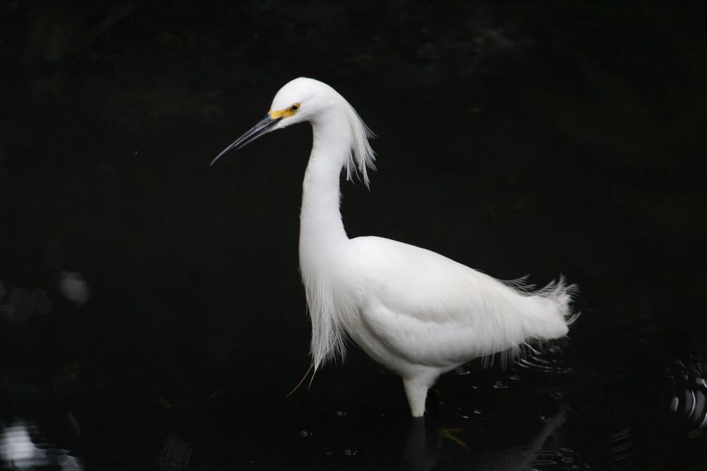 Photograph by Mariana Carvalho