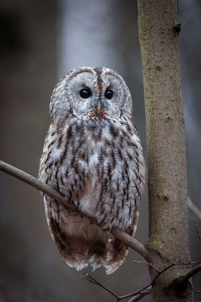 Photograph by Антон Науменко