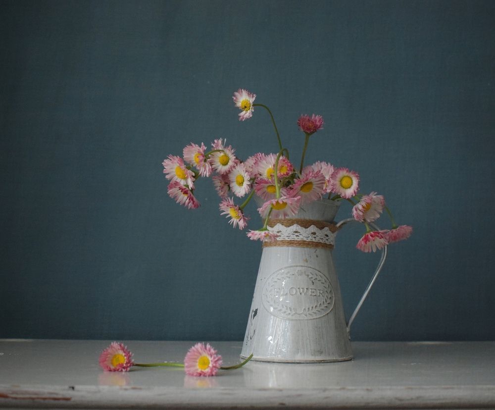 Photograph by Антонина Шабышева