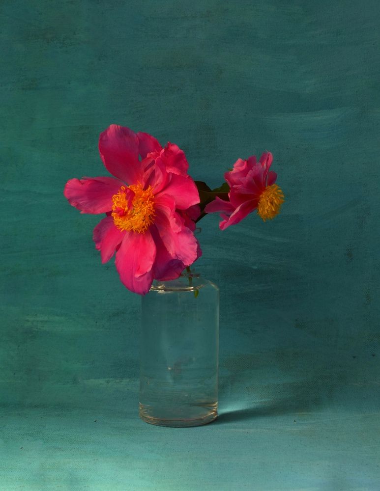 Photograph by Антонина Шабышева