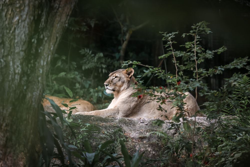 Photograph by Елена Цырюк