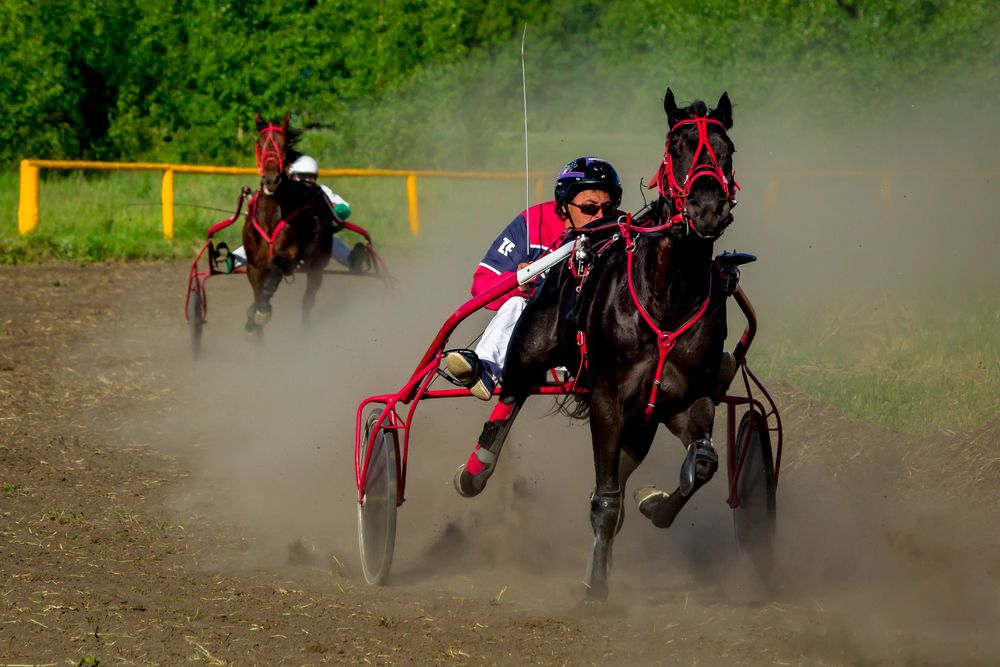 Photograph by Владимир Говоров