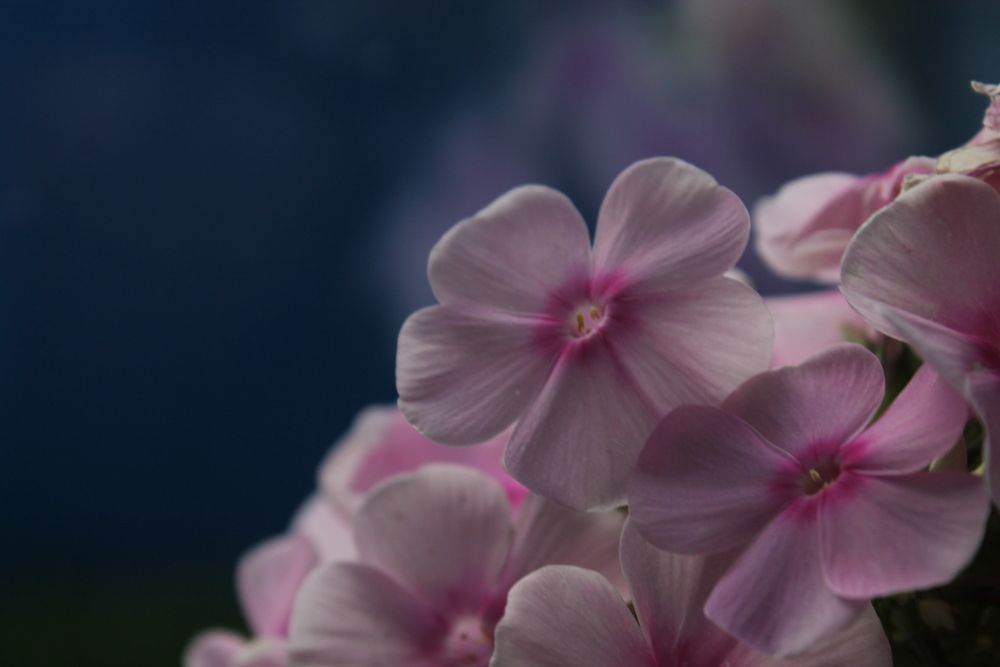 Photograph by Кирилл Елесин