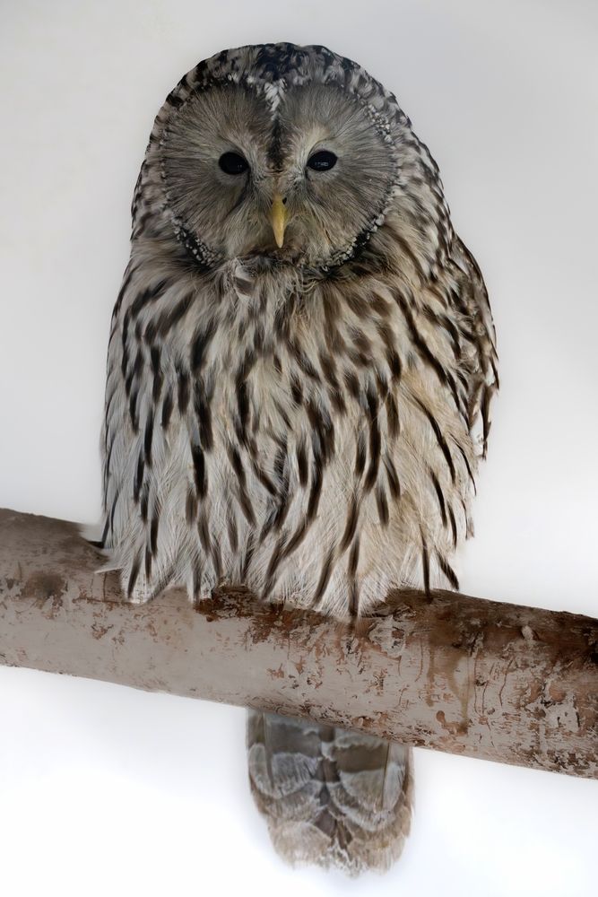 Photograph by Высотских Владимир