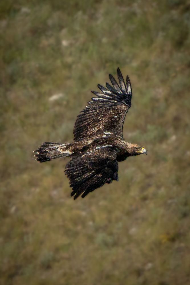 Photograph by Высотских Владимир