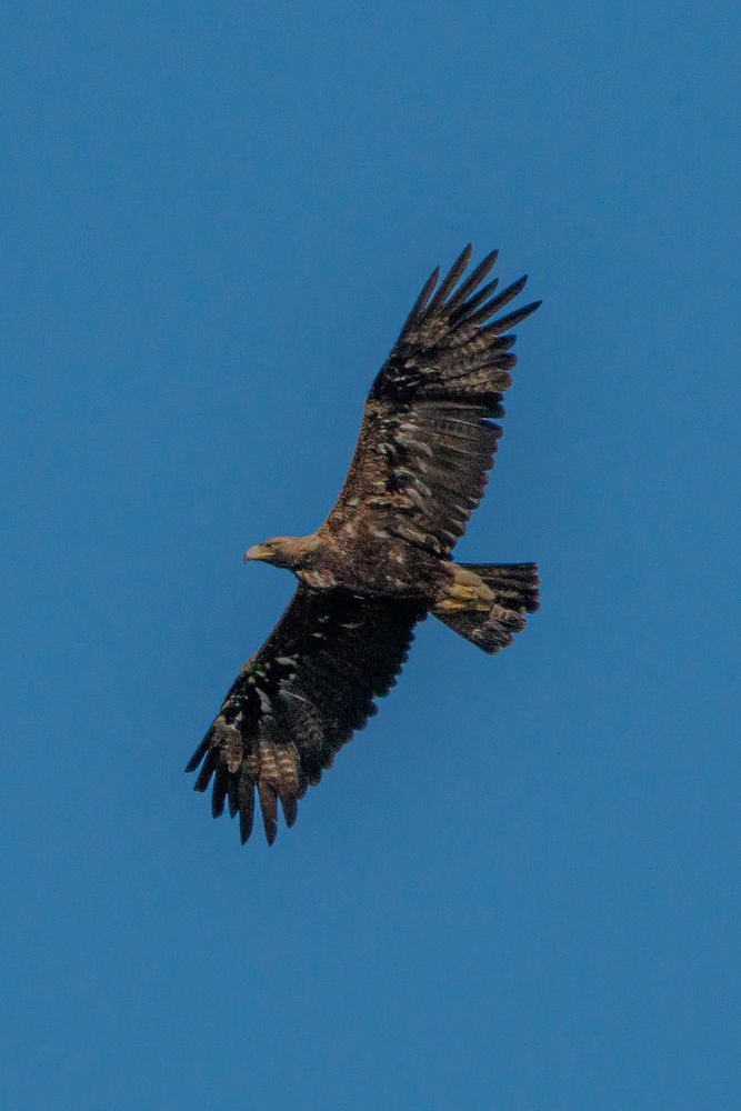 Photograph by Высотских Владимир