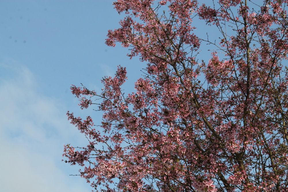 Photograph by Кирилл Елесин