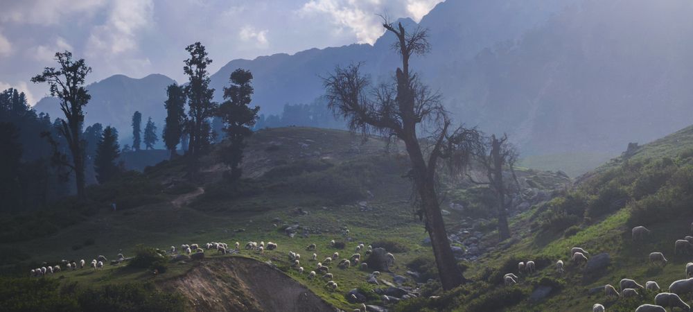 Photograph by Hasan Mehdi
