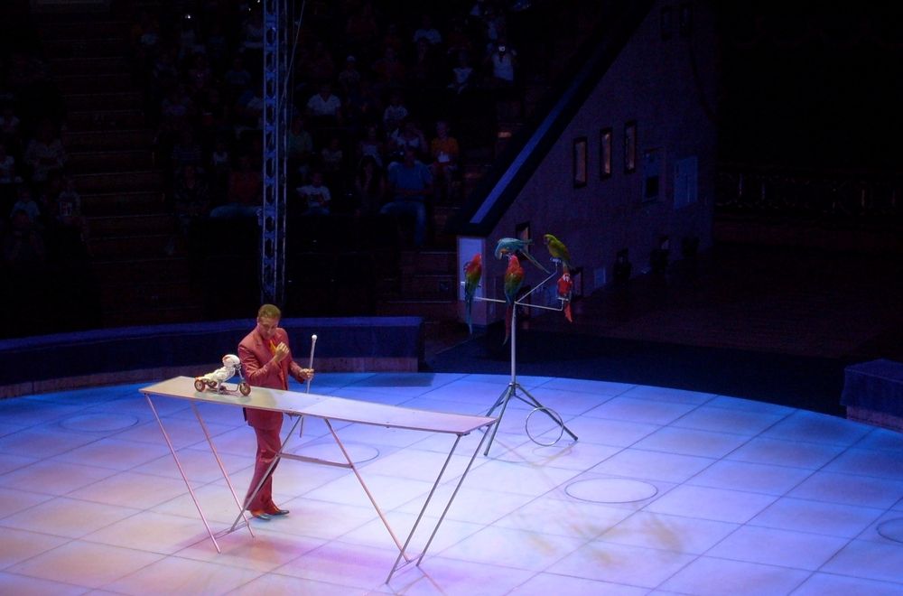 Фотография автора Наталья Драгун