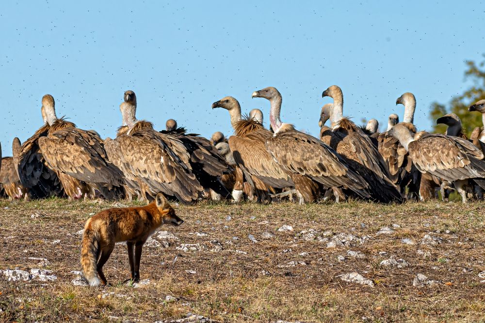 Photograph by Татьяна Жеребцова