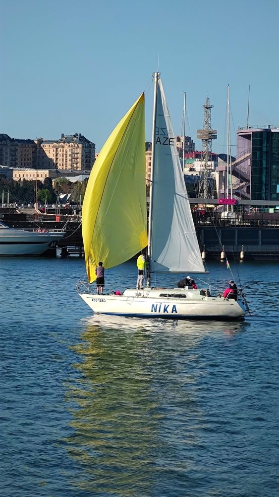 Зелёный парус