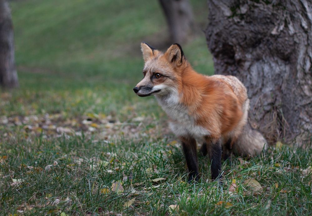 Photograph by Елена Иванова