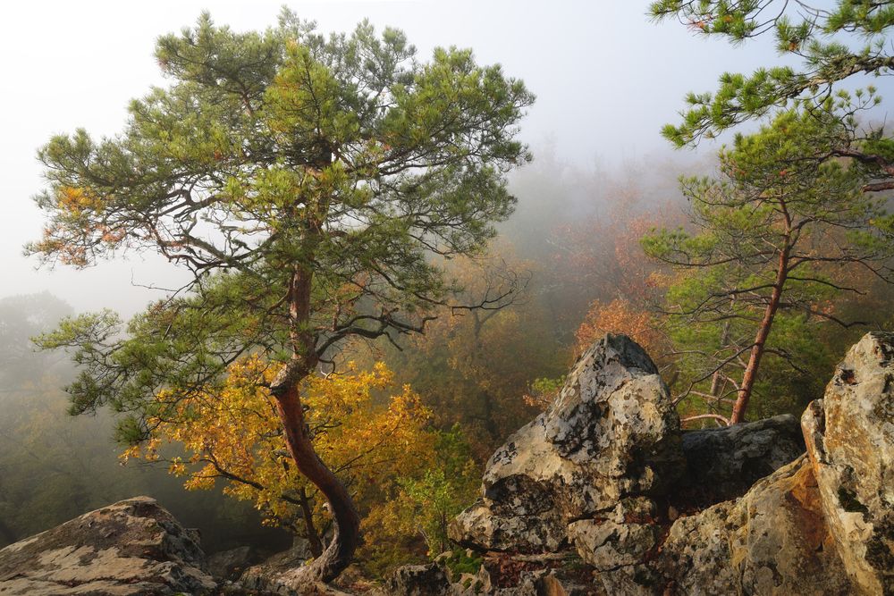 Photograph by Сергей Тихомиров