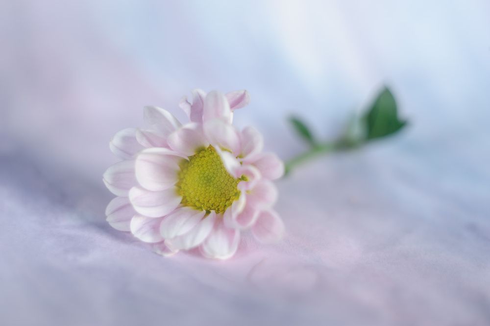 Photograph by Владимир Тузлай