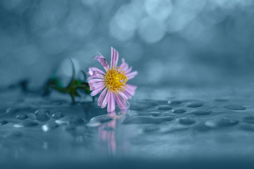 Photograph by Владимир Тузлай